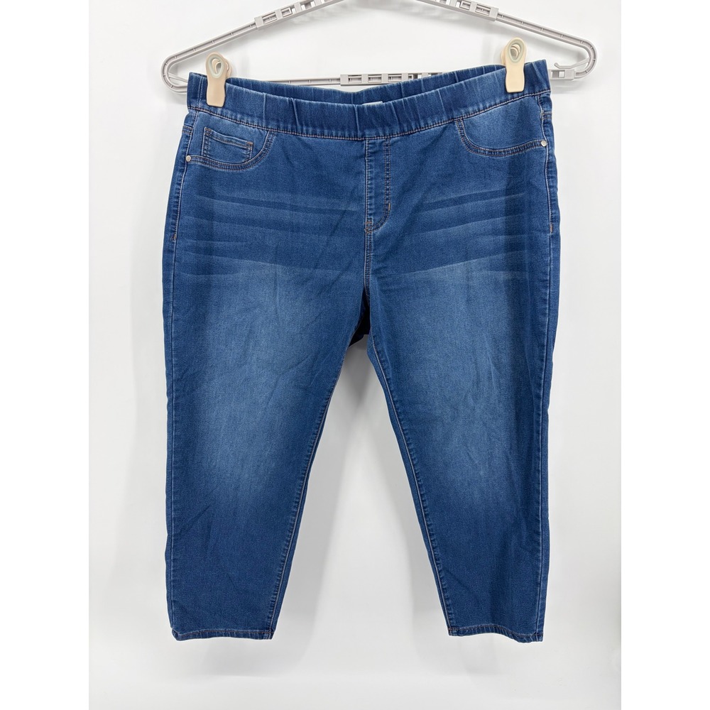 Avenue Denim Womens 22/24P Blue High Rise Jegging Pull On Stretch Petite Pants